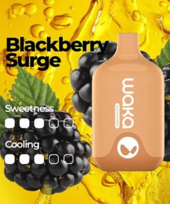 WAKA SMASH 6000 PUFF – BLACKBERRY SURGE