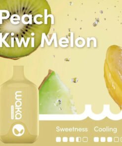 WAKA SMASH 6000 PUFF – PEACH KIWI MELON