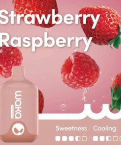 WAKA SMASH 6000 PUFF – STRAWBERRY RASPBERRY