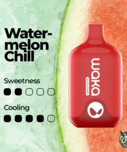WAKA SMASH 6000 PUFF – WATERMELON CHILL