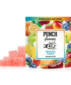 Punch Bar Gummies