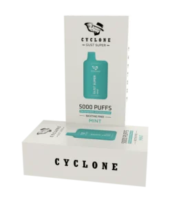 Nicotine Free Gust Super Mint Rechargeable Disposable Vape