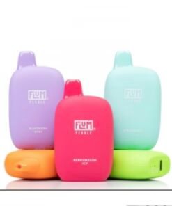 Flum Pebble Rechargeable Disposable 6000 Puffs