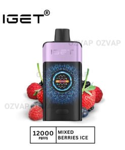 Iget One 12000 Puffs Berries Ice