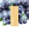 ALIBARBAR Pandora – Blueberry Breeze 7000 PUFFS - AusVape Direct