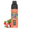 Crwn Kit - Lychee Watermelon - 9,000