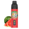 Crwn Kit - Watermelon - 9,000