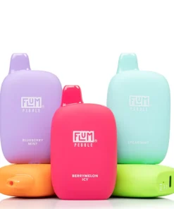 FLUM PEBBLES 6000 PUFFS