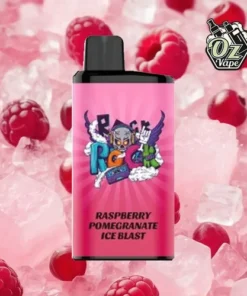 IGET Bar Pro - Raspberry Pomegranate Ice Blast - 10,000