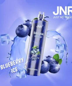 JNR Shisha Hookah - Blueberry Mint 12,000 - AusVape Direct