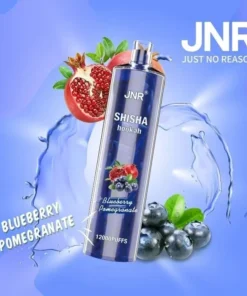 JNR SHISHA HOOKAH - BLUEBERRY POMEGRANATE 12000 PUFFS - AusVape Direct