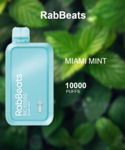 RABBEATS BAR MIAMI MINT – 10,000 PUFFS - AusVape Direct