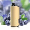 ALIBARBAR INGOT BLUEBERRY BLAST-9000 PUFFS - AusVape Direct