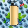ALIBARBAR INGOT BLUEBERRY MINT-9000 puffs - AusVape Direct