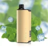ALIBARBAR INGOT COOL MINT-9000 puffs - AusVape Direct