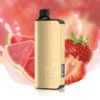 Alibarbar ingot STRAWBERRY WATERMELON 9000 puffs - AusVape Direct