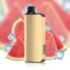Alibarbar ingot WATERMELON ICE-9000 puffs - AusVape Direct